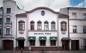 Penzion Zelená Žába